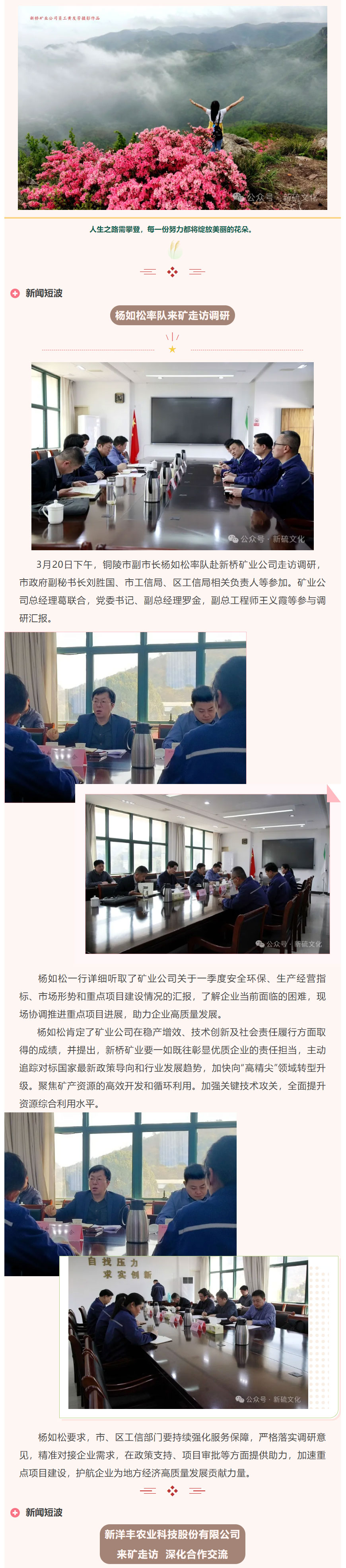 S36沙龙会 - 要玩就玩沙龙会 - 官方